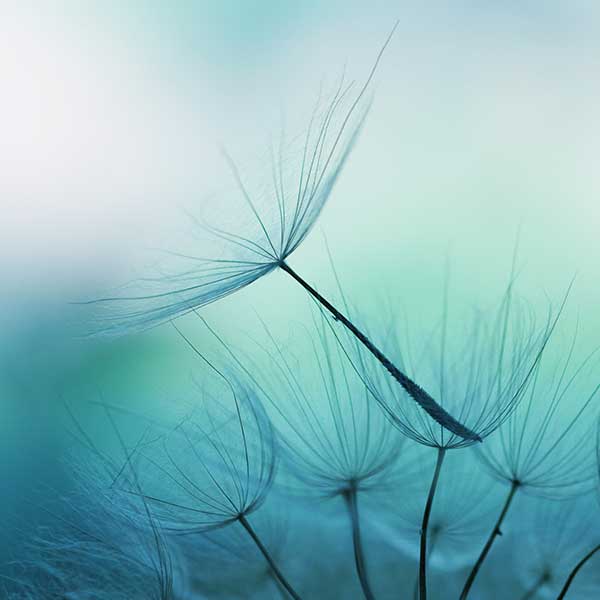 What is Mindfulness Meditation?