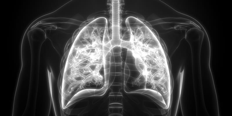 HPC Website_Page Banner_World COPD Day_800x400px